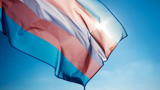 Una de cada cuatro personas trans en España sufre agresiones físicas o sexuales en el último año
