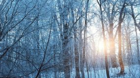 AEMET prevé un invierno con temperaturas superiores a la media en todo el país