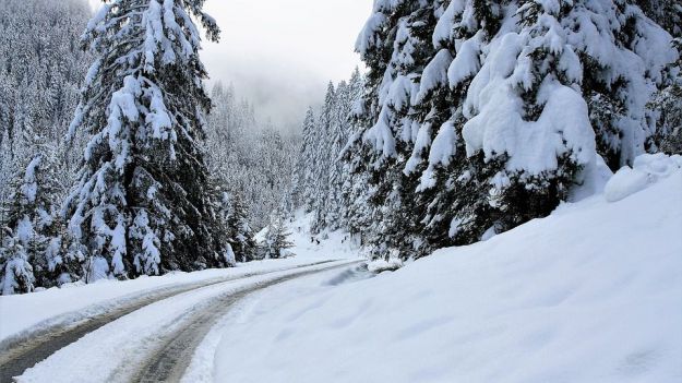 Consejos para 'sobrevivir' a una nevada