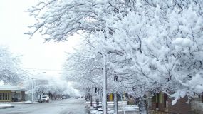 Preparadas para hacer frente a las nevadas en Asturias, Cantabria y Castilla y León 488 máquinas quitanieves y 104.115 toneladas de fundentes