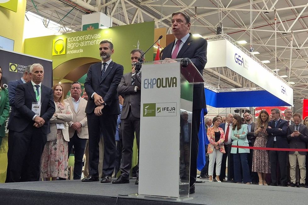 Planas propone alcanzar 4 millones de toneladas de aceite de oliva para 2040