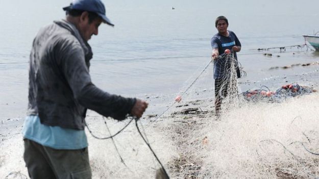 La pesca mundial caerá un 20% por el calentamiento global