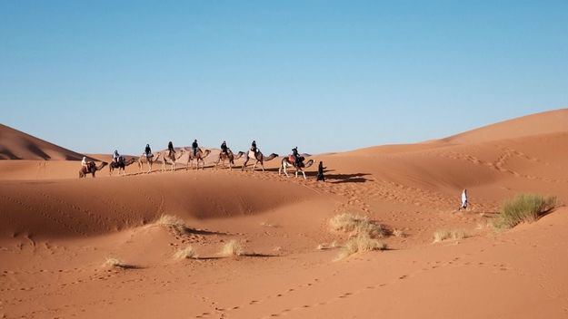 5 libros para leer este verano que te harán soñar con viajar a Egipto