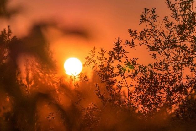 España 2024: Altas temperaturas y riadas en Valencia marcan el año