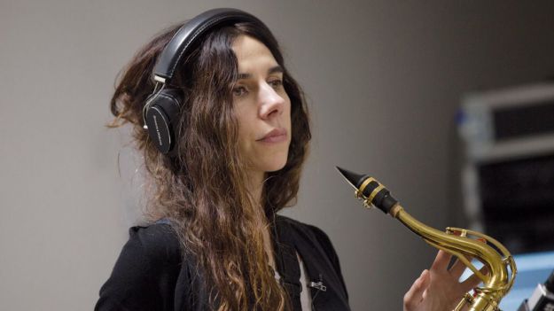 PJ Harvey: A dog called money