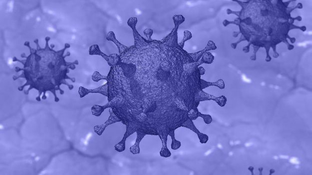 El coronavirus deja en España 324 fallecidos más en solo 24 horas y se aproxima a los 25.000 contagios