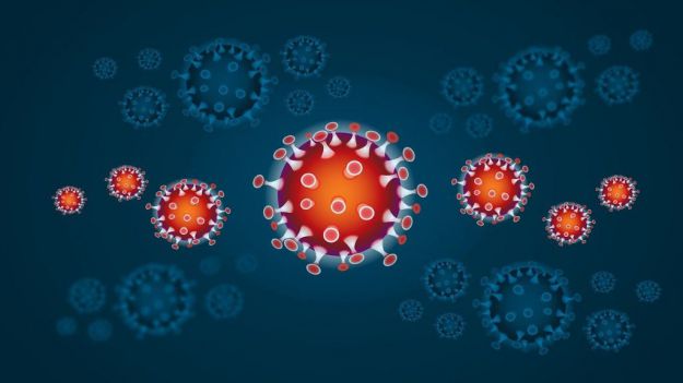 Se rompe la tendencia a la baja en número de muertes por coronavirus pese a ser domingo