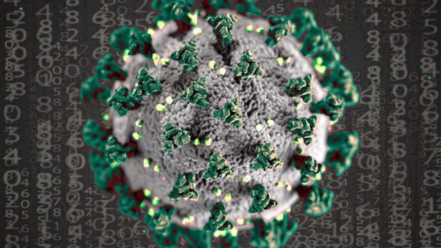 España se instala en el medio millar de muertes diarias por coronavirus