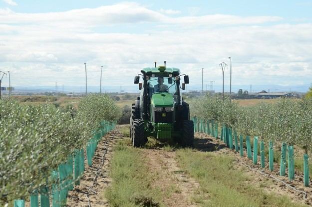 Ayudas extraordinarias para renovar maquinaria agrícola afectada por la dana