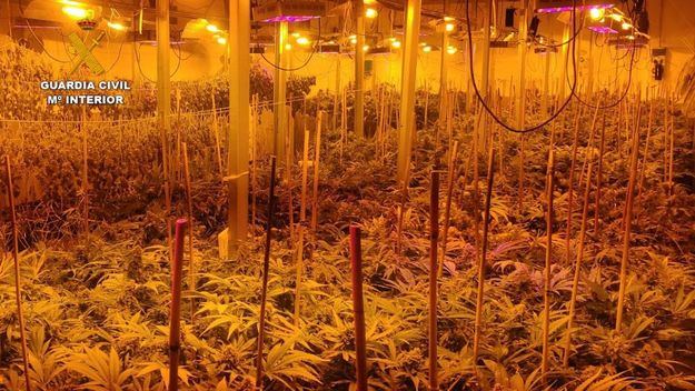 La Guardia Civil desarticula una organización criminal dedicada al tráfico de drogas a nivel europeo