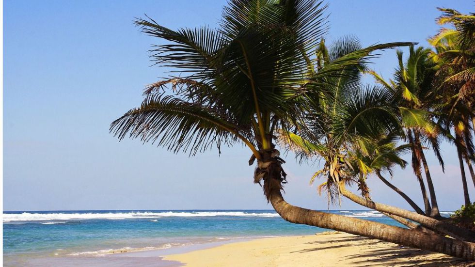 ¿Estrés? Tómate un respiro y escápate a Punta Cana