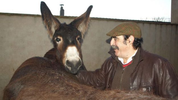 El juzgado abre juicio oral contra el alcalde socialista de Castroverde (Zamora)