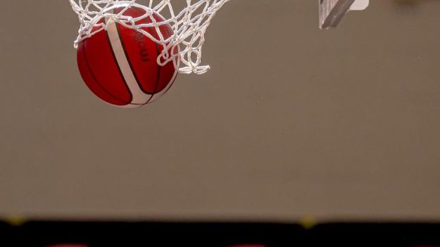 El número de licencias de baloncesto sube más del 9% y se sitúa en su máximo histórico