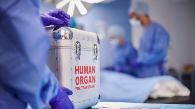 España encabeza la donación de órganos en 2023 en un año histórico para los trasplantes