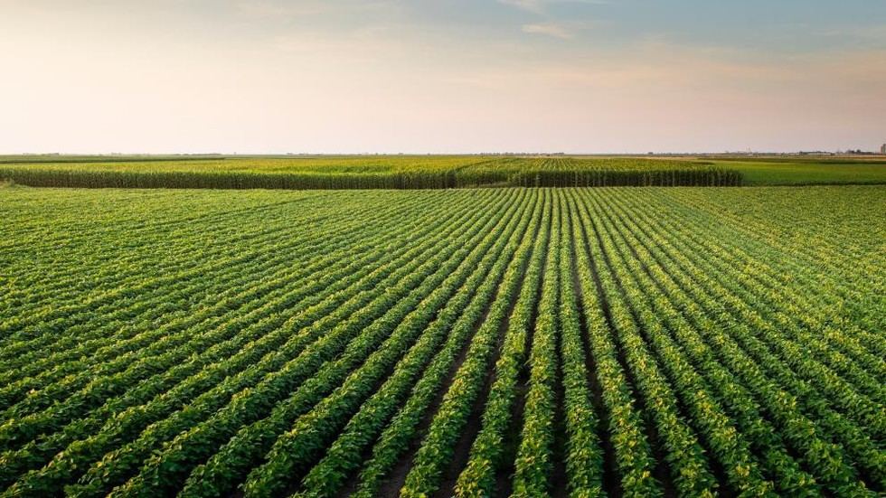 Cuatro acusados en Croacia por fraude de subsidios agrícolas, incluido un exfuncionario público