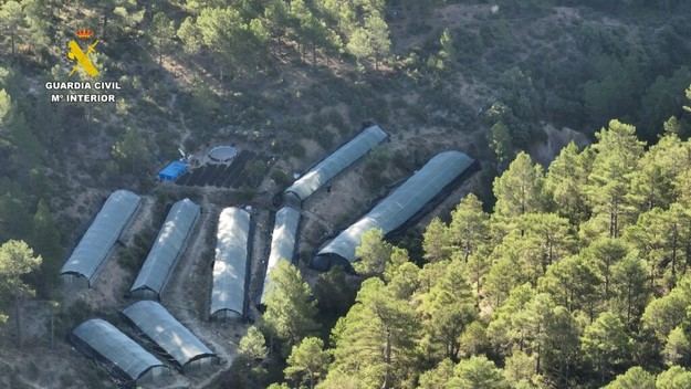 Desmantelan en Teruel una macroplantación de marihuana con nueve invernaderos