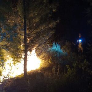 Bomberos controlan un conato de incendio en Moratalla