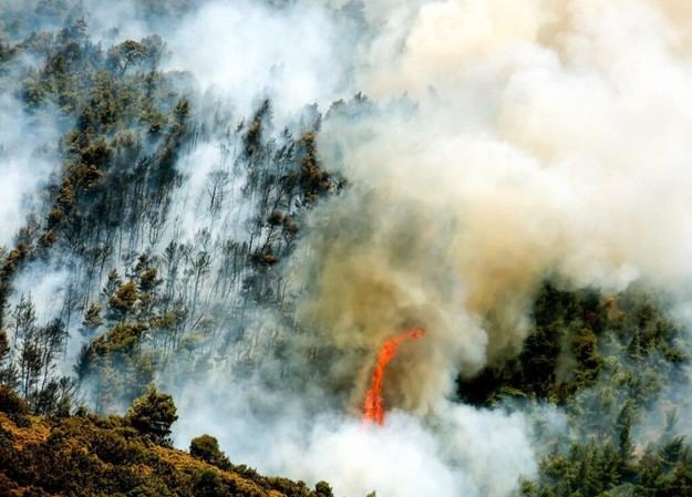 EIOPA y BCE proponen un plan europeo para mitigar el impacto económico de desastres naturales
