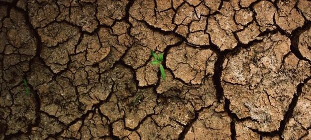 Casi seis millones de niños en América Latina caerán en la pobreza por el cambio climático