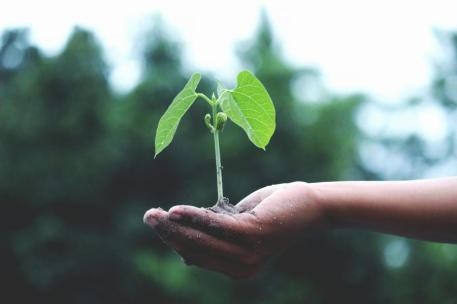 Se forma un grupo para abordar el impacto del cambio climático en la salud pública