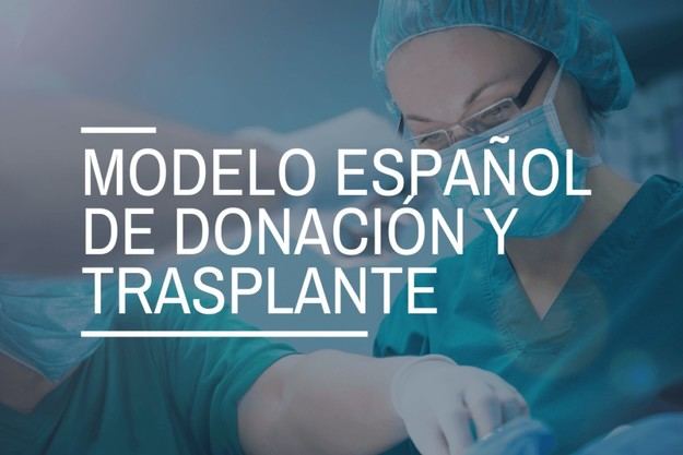 España, líder mundial en trasplantes de órganos y donación