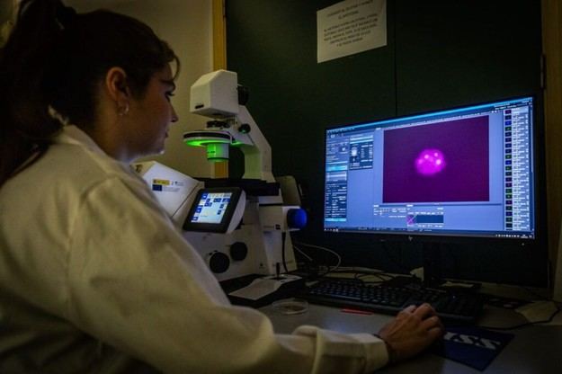 El desempleo aumenta en octubre, pero se mantiene en niveles históricos bajos