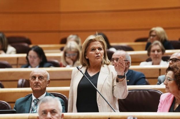 El PP critica la obligatoriedad de la baliza V16 por su legalidad y eficacia dudosas