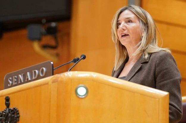 El PP solicita la comparecencia del ministro de Economía por el alto costo de la Navidad