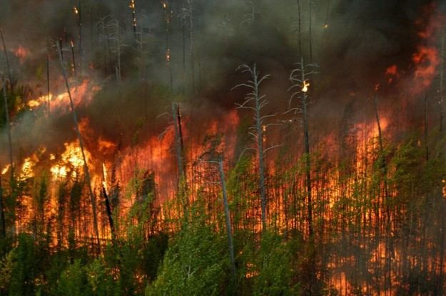 Interior activa la Fase de Preemergencia por incendios forestales en varias comunidades