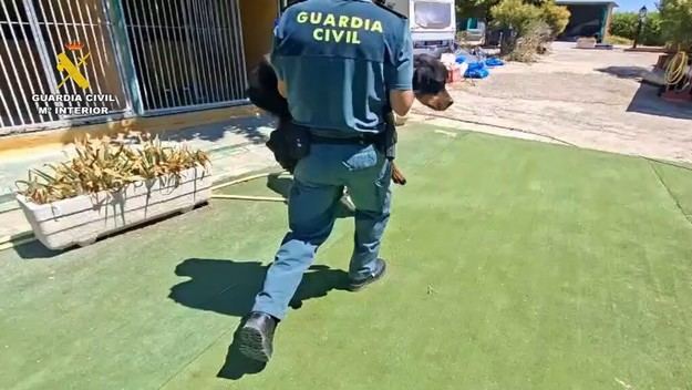 Propietarios de escuela canina en Madrid investigados por maltrato animal