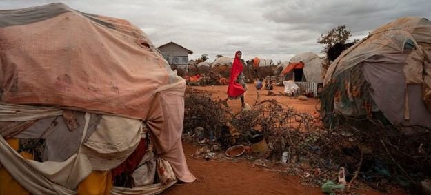 Sequías: un peligro creciente que amenaza vidas y economías globales